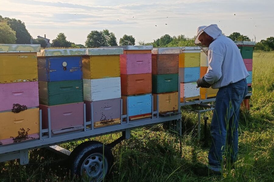NOVI PROGRAM OBRAZOVANJA: Ekološko pčelarenje 🐝🌿